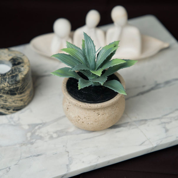 Barattolo Miniature Planter