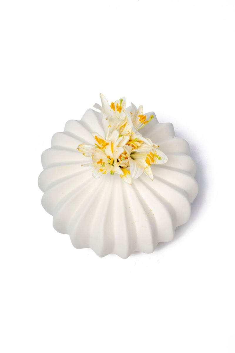 Pumpkin Ceramic Vase, Matte White