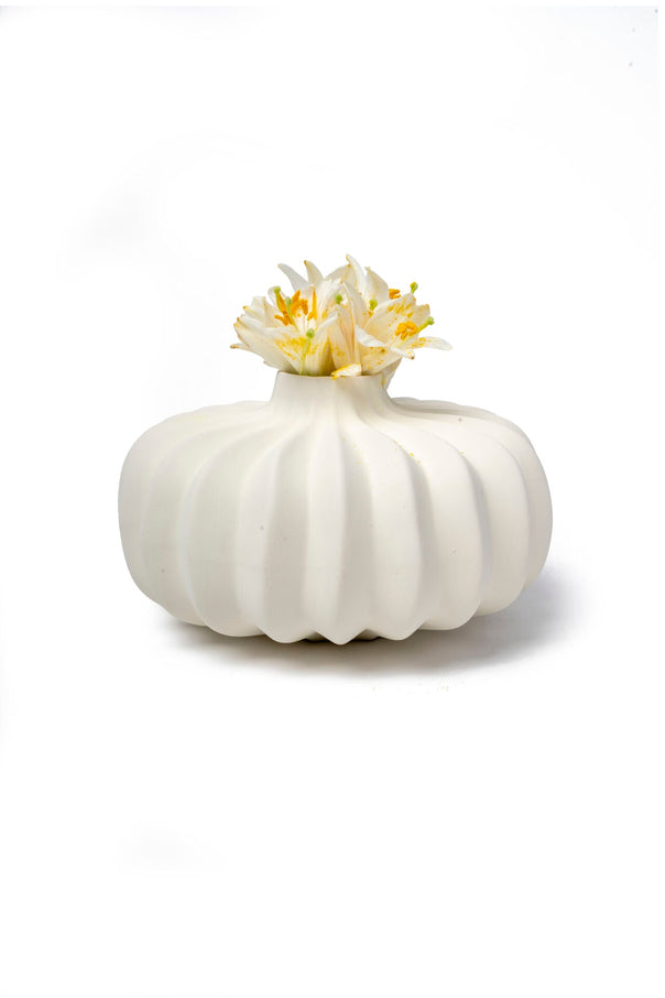 Pumpkin Ceramic Vase, Matte White