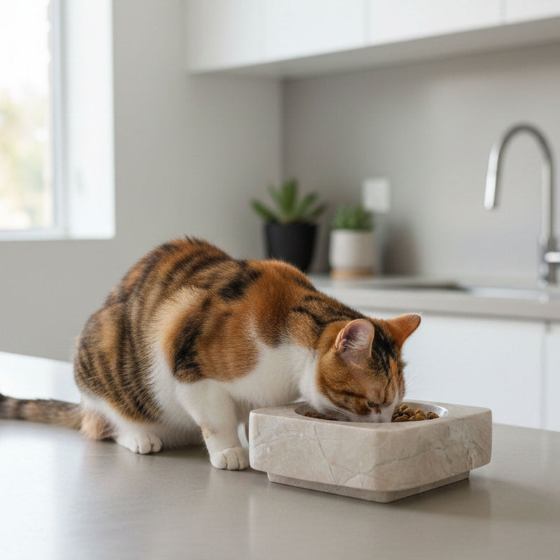 Pati Stone Marble Pet Bowl