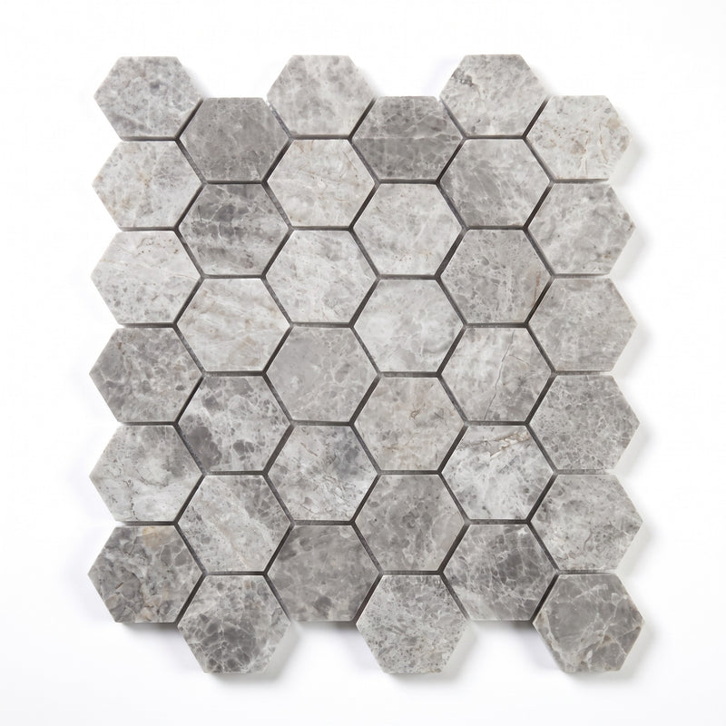 Tundra Grey 2" Hexagon Mosaic Tile, Polished